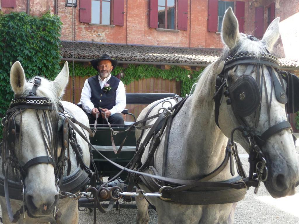 Agriturismo Cascina Vrona Βίλα Monteu Roero Εξωτερικό φωτογραφία